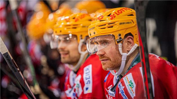Marly Quince, Neuzugang bei den Fischtown Pinguins