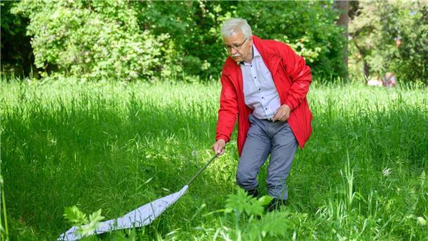 Masyar Monazahian, Zeckenexperte am Niedersächsischen Landesgesundheitsamt, sammelt jedes Jahr an ausgewählten Orten Zecken und untersucht sie unter anderem auf das FSME-Virus. (Archivbild)