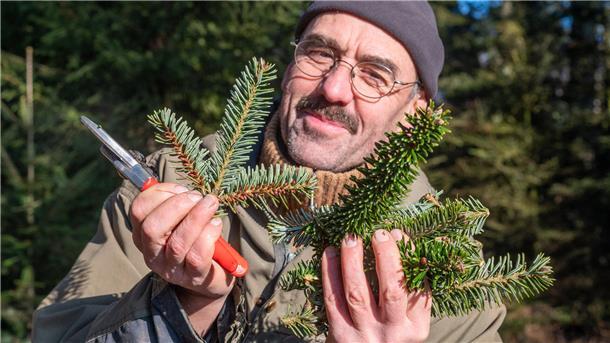 Die Kronen-Kletterer, die im Cuxland den Wald retten Matthias Moos freut sich über die Ausbeute