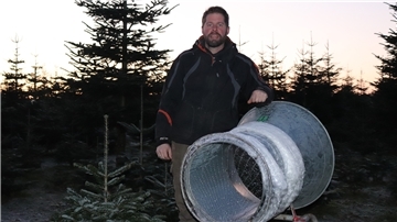 Matthias Peper aus Seedorf betreibt eine kleine Tannenbaumplantage in Seedorf. Bei ihm muss noch selbst Hand angelegt werden. Wer aber nicht das passende Werkzeug hat, um einen Baum zu schlagen, dem hilft er gerne aus.