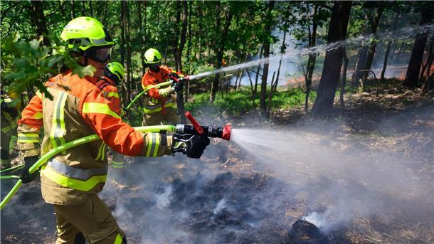 Hunderte Feuerwehrleute üben Waldbrandbekämpfung Mehr als 500 Einsatzkräfte übten die Waldbrandbekämpfung unter realen Bedingungen und bei hochsommerlichen Temperaturen.