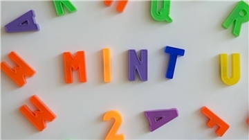 Magnetbuchstaben haften an einer Wand. Zu lesen ist MINT.