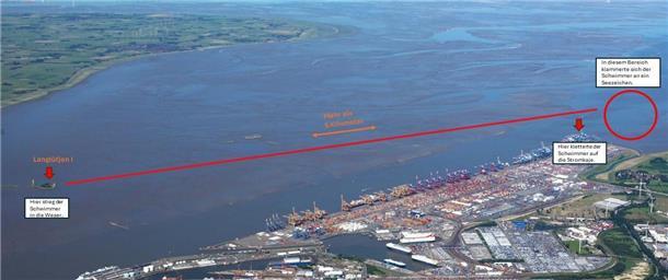 Luftfoto von der Weser bei Bremerhaven