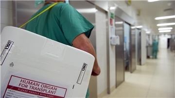 Mehr Organspenden werden weiterhin dringend benötigt. (Archivbild)