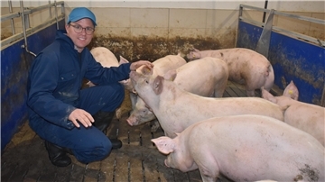 Mehr Platz im Stall: Bei Christoph Haidinger hat jedes Schwein einen Quadratmeter für sich.