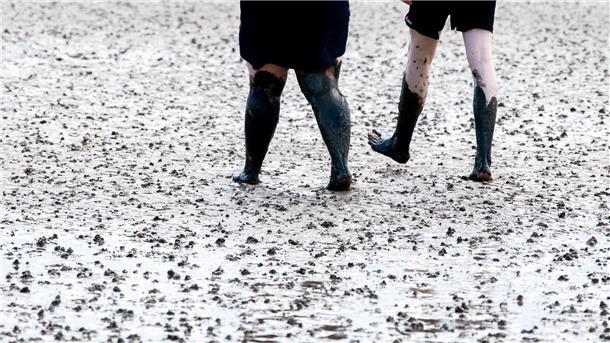 Menschen im Wattenmeer