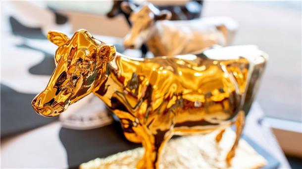 „Goldene Olga“ - Bester Milchbetrieb aus dem Emsland Mehrere Milchbetriebe aus der Grafschaft Bentheim sind ausgezeichnet worden. (Archivfoto)