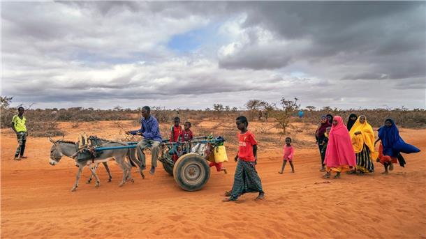 Klimagipfel: Afrika als „Schlüssel“ für grüne Weltwirtschaft Menschen kommen im somalisch-äthiopischen Grenzgebiet in einem Vertriebenenlager an - sie wurden wegen der Dürre aus ihren angestammten Regionen vertrieben.