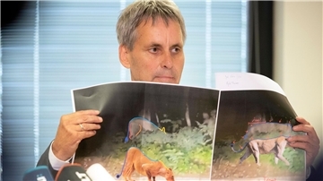 Michael Grubert erklärt während einer Pressekonferenz anhand von Fotos, weshalb es sich bei dem gesuchten Raubtier um keine Löwin handelt.