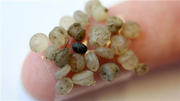 Wie sich die Aufnahme von Mikroplastik vermindern lässt Mikroplastik ist zwischen 1 Mikrometer und 5 Millimeter groß. Nanoplastikpartikel sind kleiner. (Symbolbild)