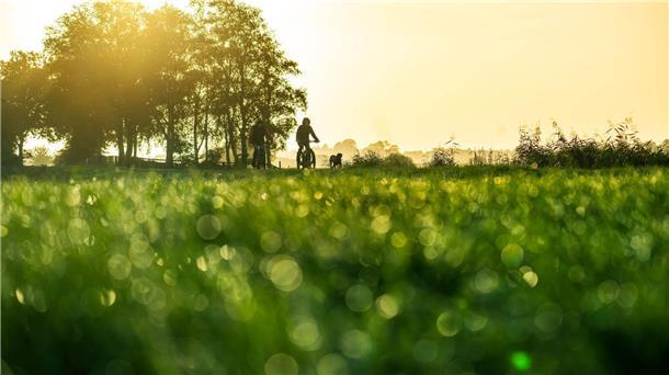 Mildes Wetter und viele Angebote für Familien in den Ferien Mildes Herbstwetter prognostiziert der DWD für die kommenden Tage - die Sonne bleibt aber rar.