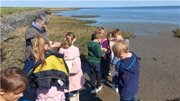 Kinder an der Wattkante in Fedderwardersiel. Die Jungen und Mädchen der Grundschule Butjadingen haben das Wattenmeer erkundet.