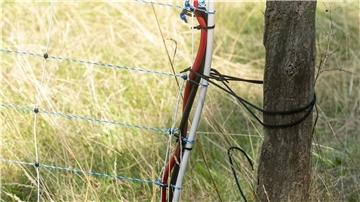 Mit besonderen Elektrozäunen sollen künftig die beiden Deichschäfereien in der Osterstader Marsch vor Wolfsangriffen geschützt werden. Der Verband der Wasser- und Bodenverbände hatte sich um das Modellprojekt des Landes Niedersachsen beworben.