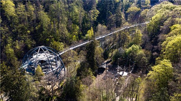 Mit dem Baumwipfelpfad begann vor zehn Jahren der Ausbau des touristischen Angebotes am Burgberg in Bad Harzburg. (Archivbild) 