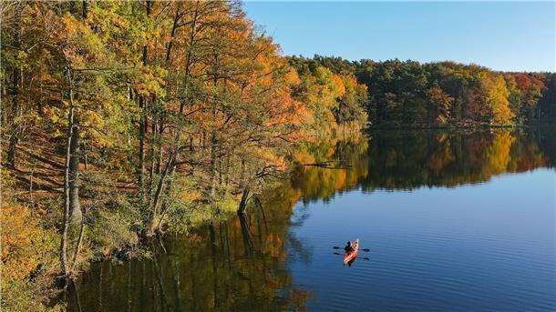 Sommer im Herbst - Oktober endet mit milden Sonnentagen Mit dem Kajak über den Trepliner See in Brandenburg: Am Ufer leuchtet der Wald in den schönsten Herbstfarben.