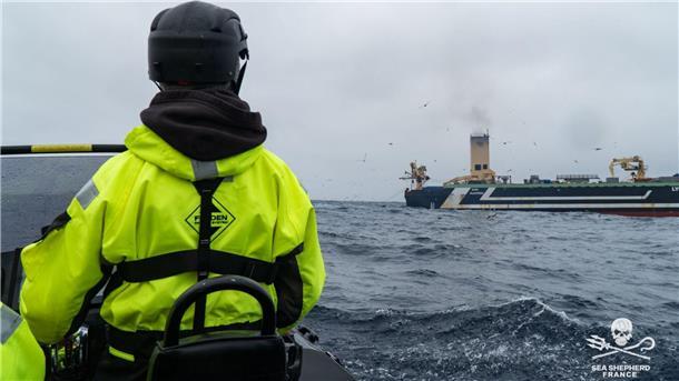 Mit dem Schlauchboot beobachten die „Piraten Neptuns“ in Zusammenarbeit mit Sea Shepherd Frankreich die Fischtrawler.