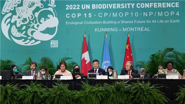 Mit dem Weltnaturgipfel verbindet sich die Hoffnung, ein globales Abkommen für den Artenschutz zu erreichen - ähnlich dem Pariser Klimaschutz-Abkommen.