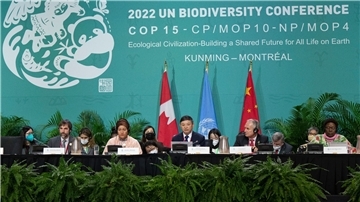Mit dem Weltnaturgipfel verbindet sich die Hoffnung, ein globales Abkommen für den Artenschutz zu erreichen - ähnlich dem Pariser Klimaschutz-Abkommen.
