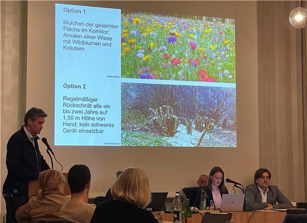 Der Nordenhamer Stadtplaner Tim Lorenz zum Strandwald