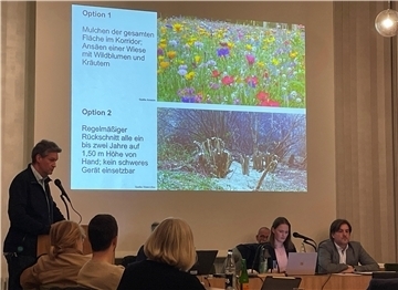 Der Nordenhamer Stadtplaner Tim Lorenz zum Strandwald