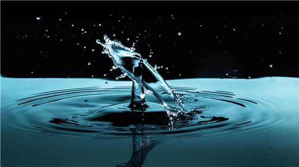 Mit ein paar Klicks können Sie herausfinden, ob das Grundwasser in Ihrer Region steigt oder sinkt. Und wir erklären, was das zu bedeuten hat.