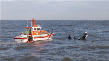 DGzRS vor Cuxhaven: Rettungsübung