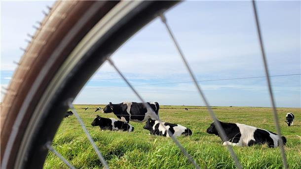 Fahrradtour durch die Gemeinde Wurster Nordseeküste (Landkreis Cuxhaven).