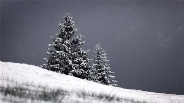 Winter-Vorboten und Schnee in Süddeutschland Mit Neuschnee bedeckt ist die Landschaft um den Riedbergpass.
