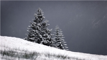 Mit Neuschnee bedeckt ist die Landschaft um den Riedbergpass.