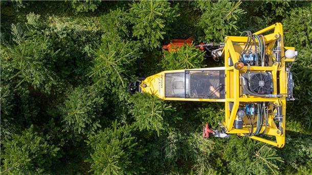 Frost, Trockenheit, höhere Kosten: Tannenbäume werden teurer Mit seinem Baumschultraktor fährt Robert Kleinstäuber vom Weihnachtsbaumhandel „een Baum aus Sachsen“ durch eine Plantage mit Nordmanntannen.