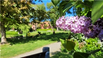Mit üppiger Blütenpracht lädt der Wremer Kurpark Besucher vom 7. Mai bis zum 10. September immer mittwochabends zur „Wremer Grille“ ein.