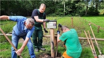 Mitarbeiter des Gartenbauamtes beim Aufstellen des Infoschildes vor der Blühfläche im Bürgerpark