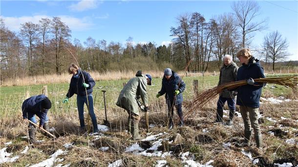 NABU-Ortsgruppe Beverstedt pflanzt Weidenstecklinge an der Kläranlage Mitglieder der NABU-Ortsgruppe Beverstedt setzen Weidenstecklinge.