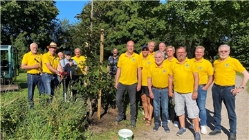 Mitglieder des Bremervörder Lions-Club haben im Rahmen der derzeit im Internet laufenden Baum-Pfanz-Challenge eine Rotbuche im Lions-Garten am Vörder See gepflanzt.