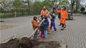 Kinder pflanzen einen Baum in Brake. 