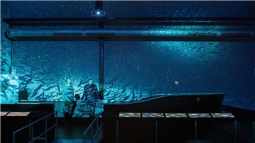Mitten im Schwarm: das neue 360-Grad-Erlebnis im Fischbahnhof Bremerhaven.