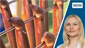 Zweigeteiltes Bild: links sind aufgespießte Räucheraale zu sehen, rechts NZ-Reporterin Marie Petersen.