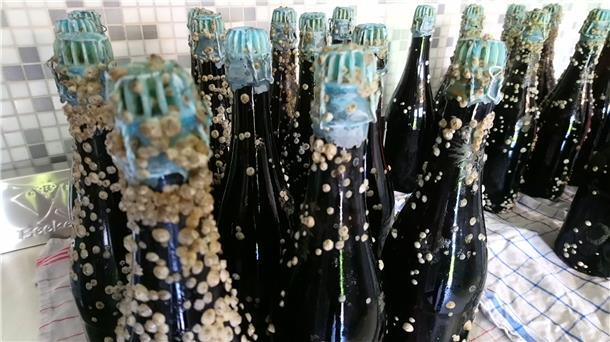 Monatelang schwimmt das Seepockenbier in der Elbe. In dieser Zeit setzen sich die kleinen Tierchen am Glas ab - und verleihen den Flaschen ihre unverwechselbare Optik.