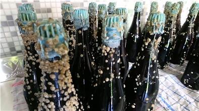 Monatelang schwimmt das Seepockenbier in der Elbe. In dieser Zeit setzen sich die kleinen Tierchen am Glas ab - und verleihen den Flaschen ihre unverwechselbare Optik.