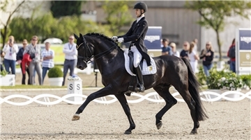 Moritz Treffinger und Cadeau Noir haben bei der U25-EM Gold und Bronze geholt.