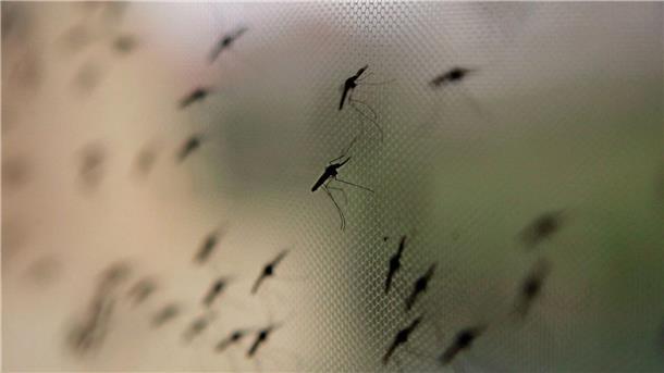 Weniger Malaria in Afrika? Moskitonetze sind ein essenzieller Schutz vor möglicherweise krankheitsübertragenden Blutsaugern.