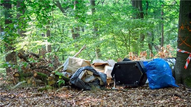 Illegale Müllkippen im Wald: Problem der exotischen Pflanzen Müll liegt neben eienr Straße im Wald.