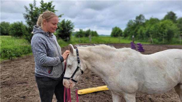 Ponyhof Robbe, Midlum, Landkreis Cuxhaven