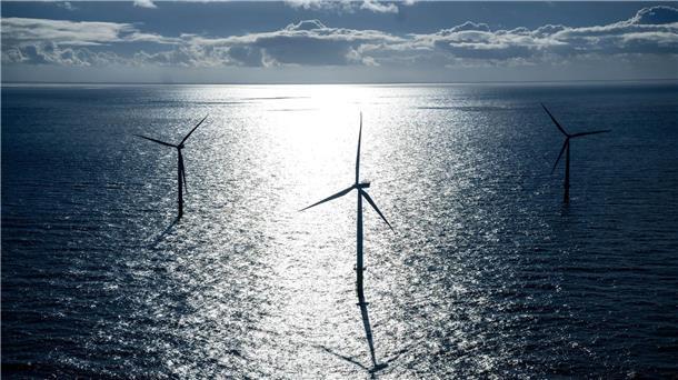 Nabu kritisiert Offshore-Branche für Positionspapier Nabu wirft der Offshore-Branche vor, mehr Flächen auf See zu beanspruchen. (Archivbild)