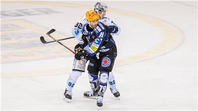 Ein Zweikampf im Eishockey. Colt Conrad von den Fischtown Pinguins aus Bremerhaven im Spiel gegen Dresden.