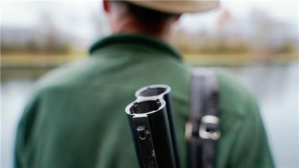 Nach Angaben des Deutschen Jagdverbands werden  1,2 Millionen Rehe jährlich in Deutschland erlegt.