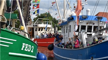 Kutterregatta in Fedderwardersiel (Butjadingen)