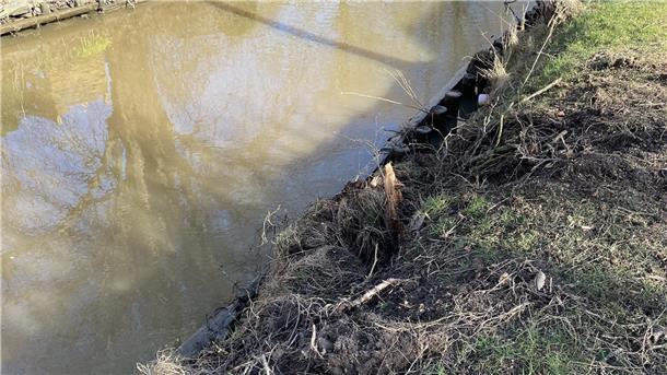 Beschädigtes Fleth: Sandstedter wartet vergeblich auf Reparatur Nach dem Entfernen der umgeknickten Bäume ist die Uferböschung am Fleth in Sandstedt beschädigt.