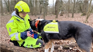 Hundeführerin in gelber Arbeitskleidung mit Helm belohnt ihren Mischling Murphy. Er trägt eine gelbe Weste.