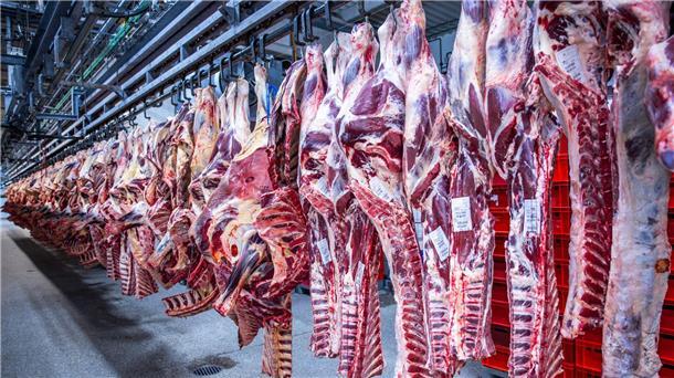 Zahl der Schweineschlachtungen wieder leicht gestiegen Nach Jahren rückläufiger Schlachtungen ist die Zahl der Schweineschlachtungen im vergangenen Jahr wieder leicht gestiegen. (Archivfoto)